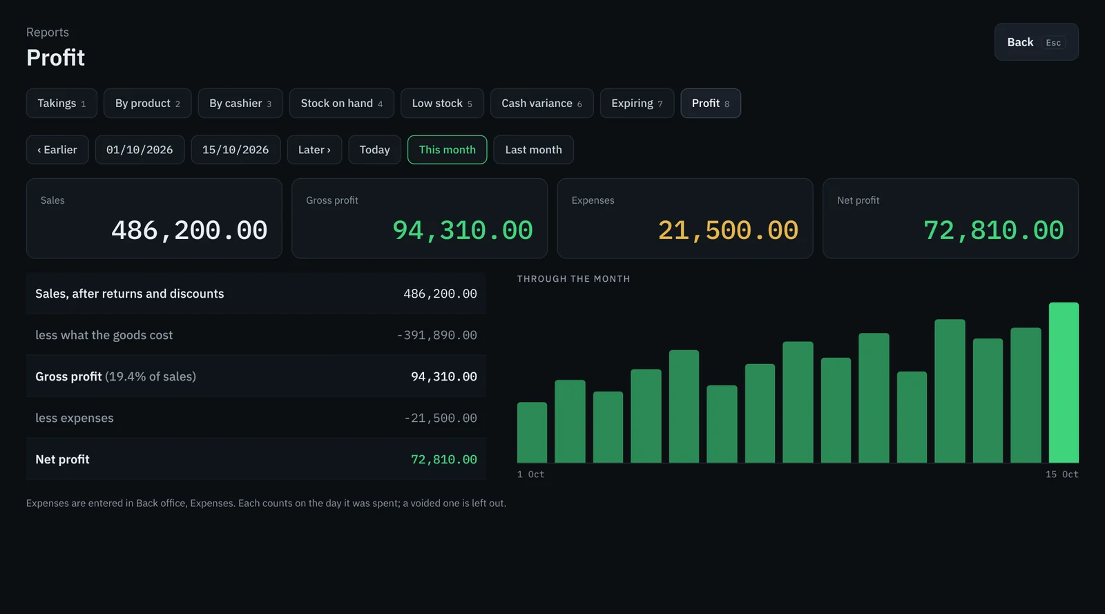 Profit report for the month showing sales, gross profit, expenses, net profit and a daily chart